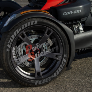 Can-Am Full Gray ,Set for 3 Tires (839)