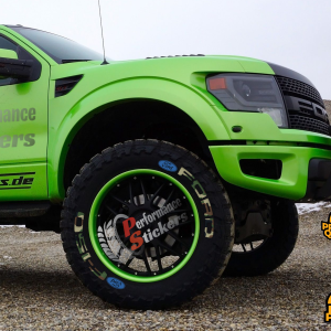 FORD F-150 camouflage , a Set for 4 tires (575)