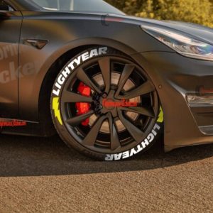 LIGHT YEAR + LOGO, a Set for 4 tires (825)