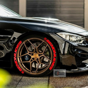 Send Nudes + Logo Full Red, Set for 4 Tires (1457)