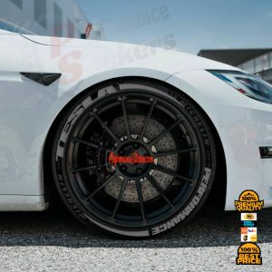 TESLA PERFORMANCE + STRIPES grey, a Set for 4 tires (748)